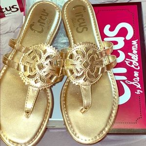 Gold Sam Eldelman flip flops